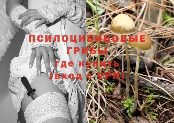 винт Алзамай