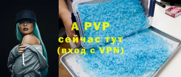 дживик Пестово