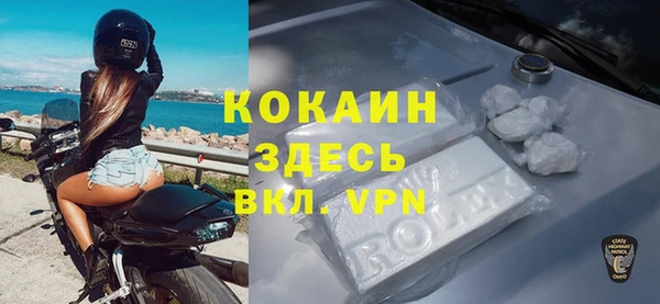 дживик Пестово