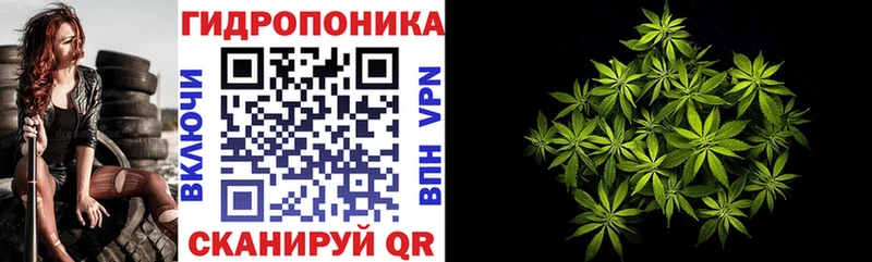МАРИХУАНА семена Каменногорск